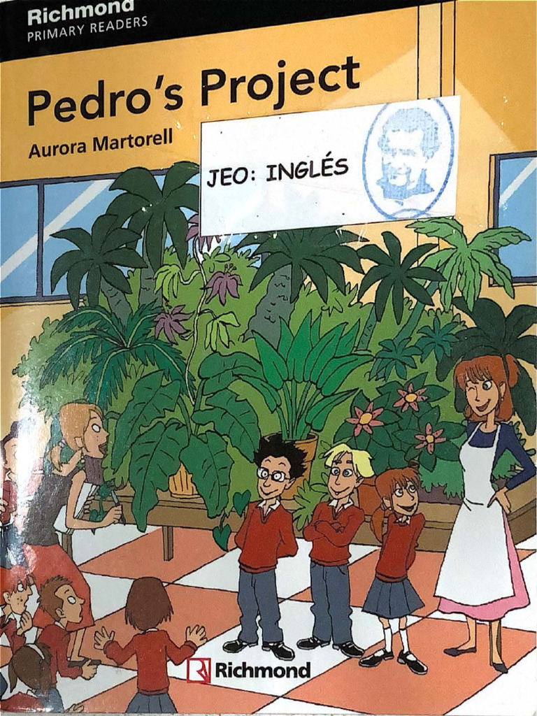 Pedros Project | PDF