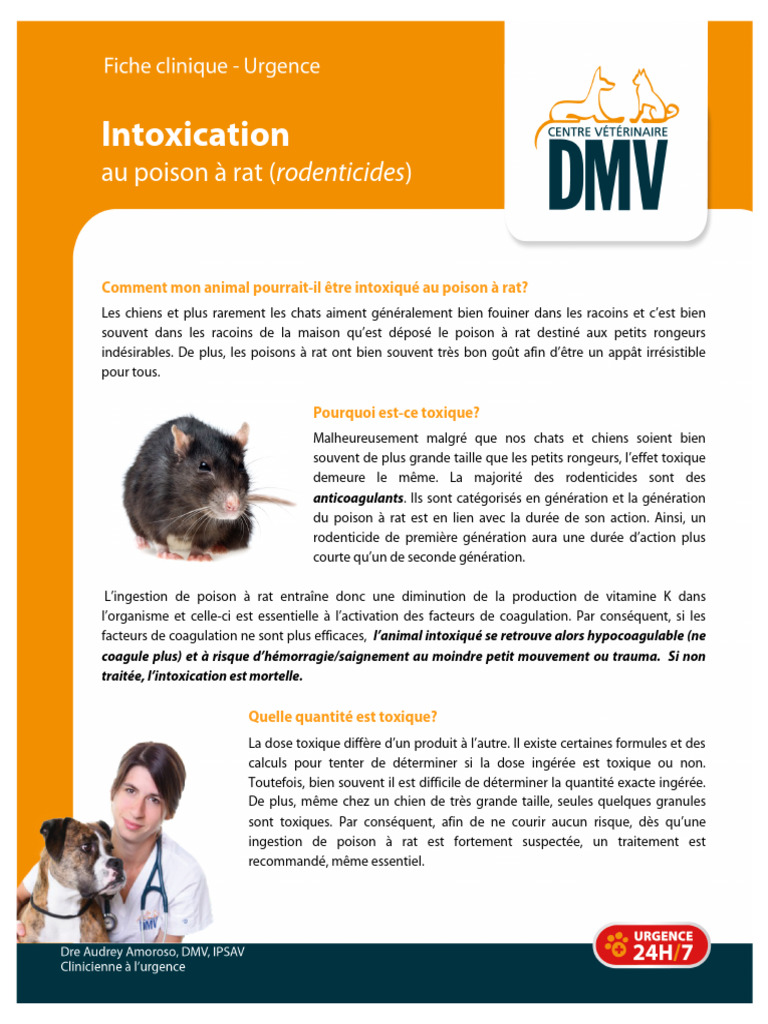 Intoxication au poison à rat chez les animaux | PDF | Saignement | Poison