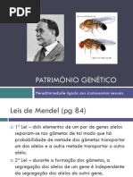 Património Genético - Trabalhos de Morgan
