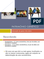 Património Genético (Interacção génica, Periquitos