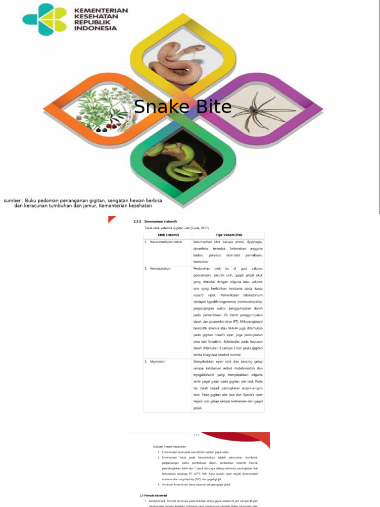 Snake Bite | PDF