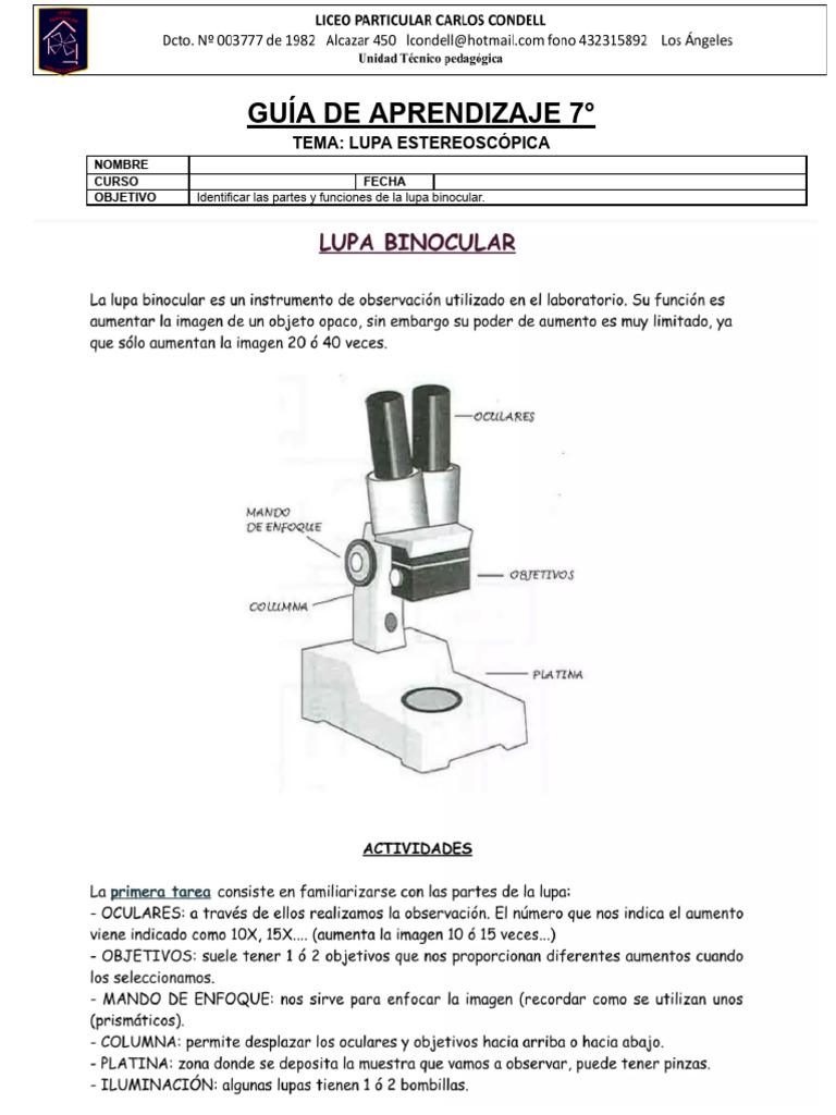 GUÍA DE APRENDIZAJE 7° LUPA ESTEREOSCÓPICA - Docx-3 | PDF