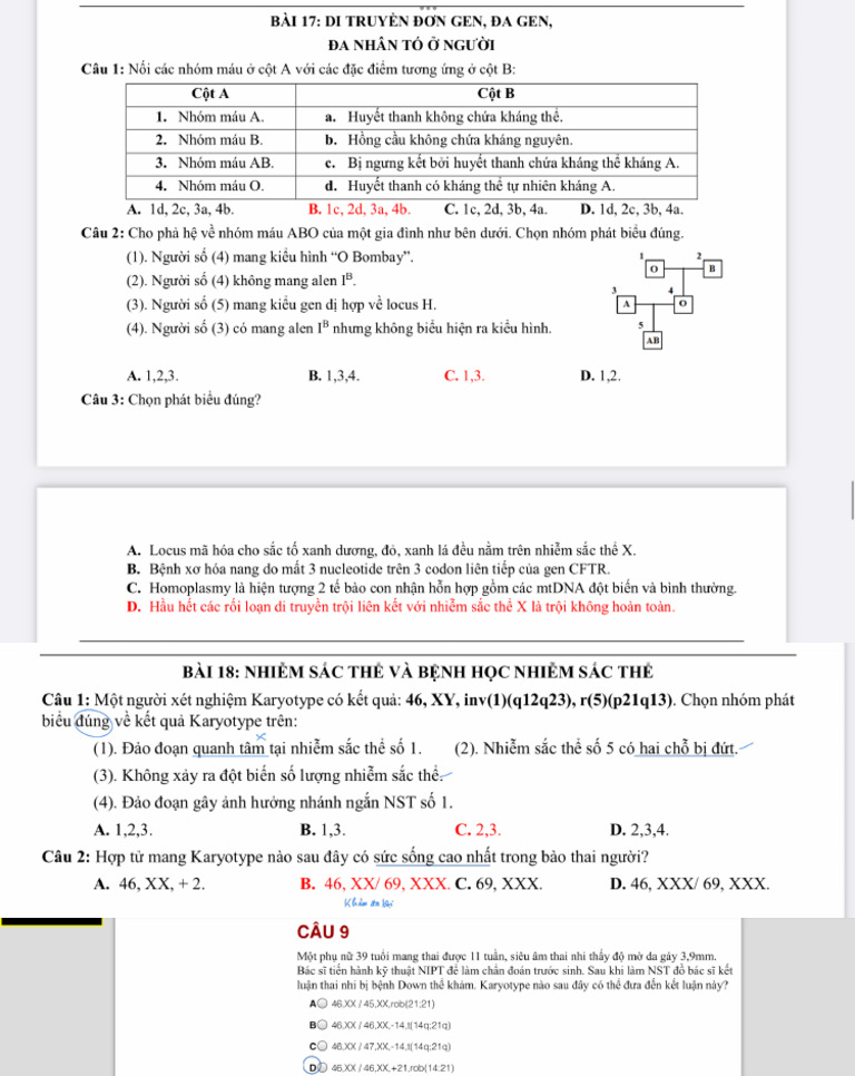 T NG H P | PDF