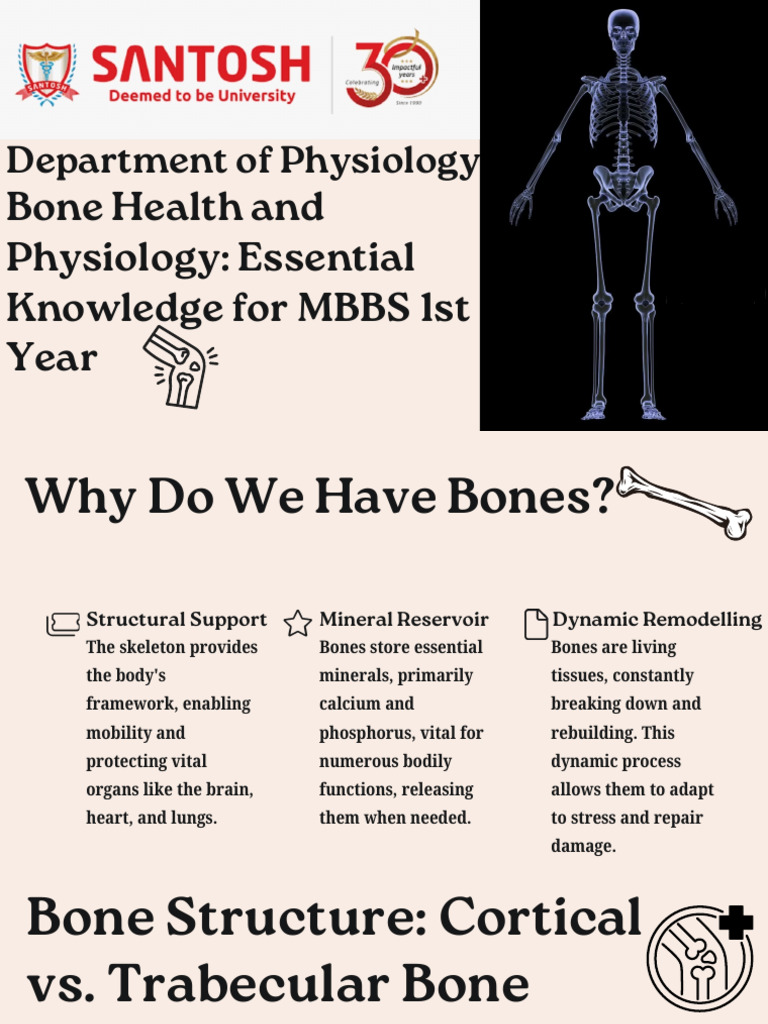 Understanding Bone Structure and Health | PDF | Bone | Osteoblast