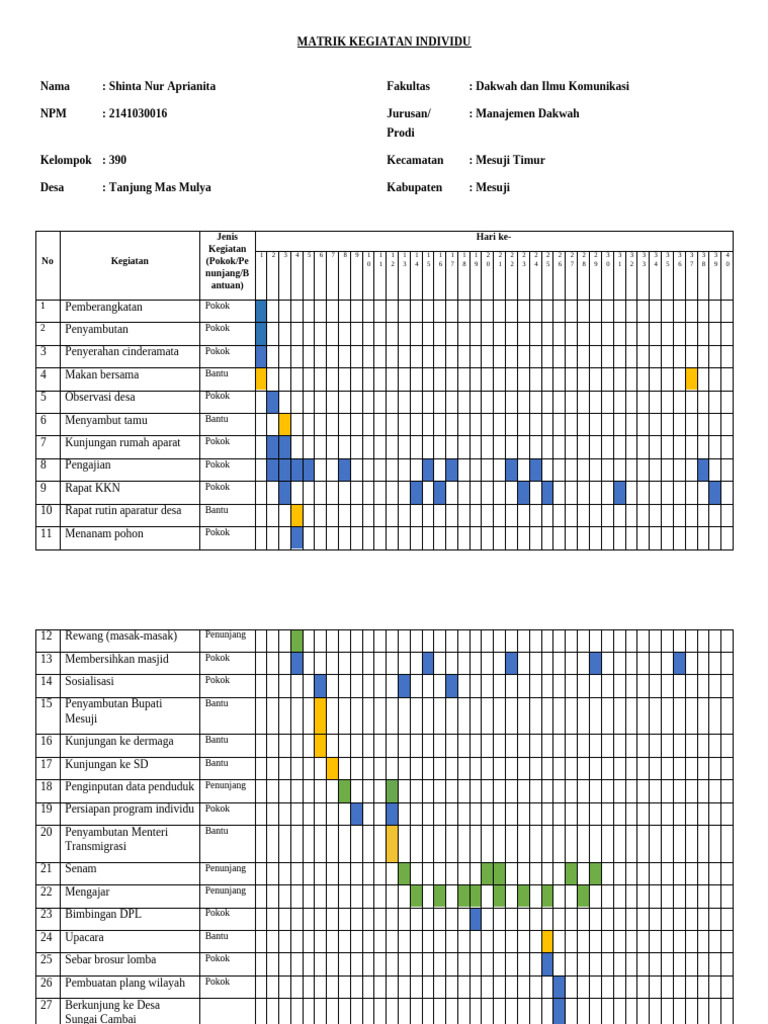 Matrik Kegiatan KKN Shinta 2024 | PDF