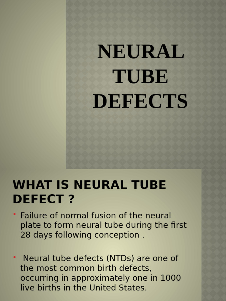 Neural Tube Defects | PDF | Human Diseases And Disorders | Medical ...