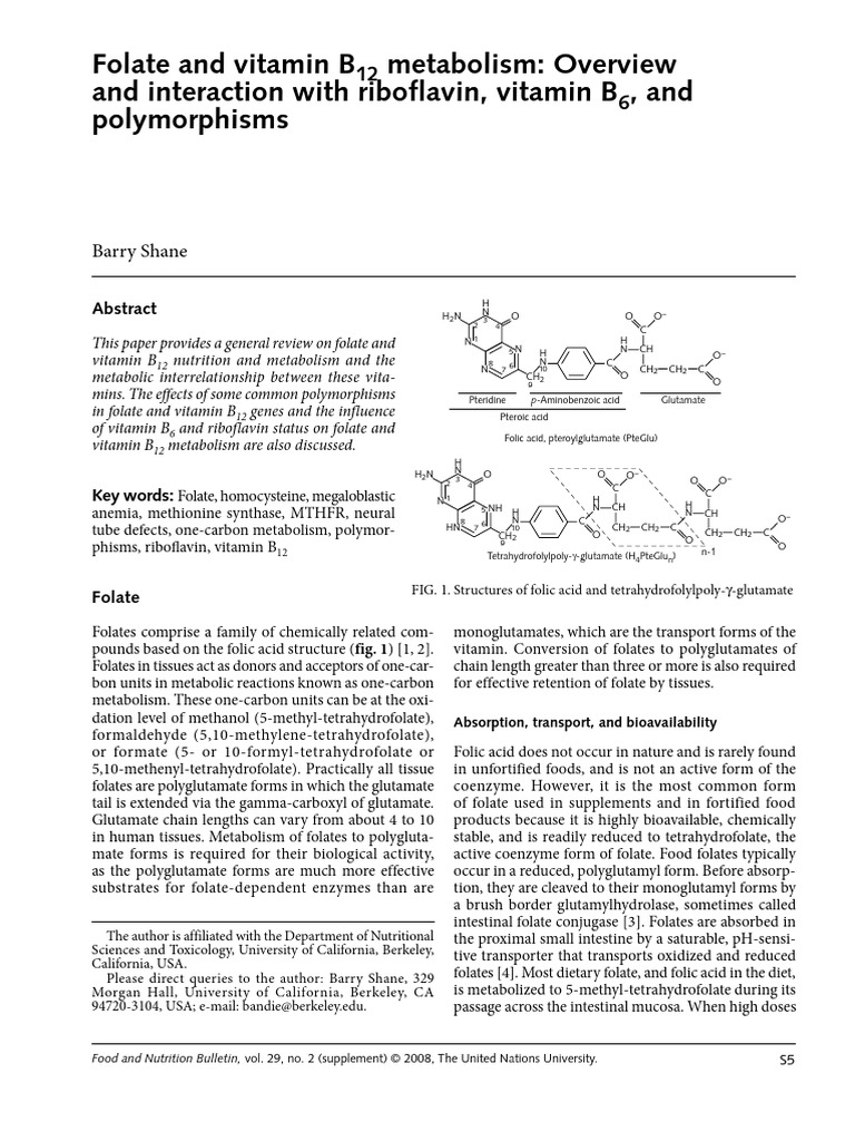 Shane 2008 Folate and Vitamin b12 Metabolism Overview and Interaction ...