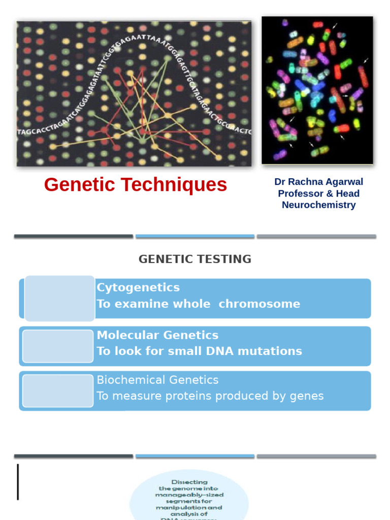 Genetic Testing and Techniques Overview | PDF