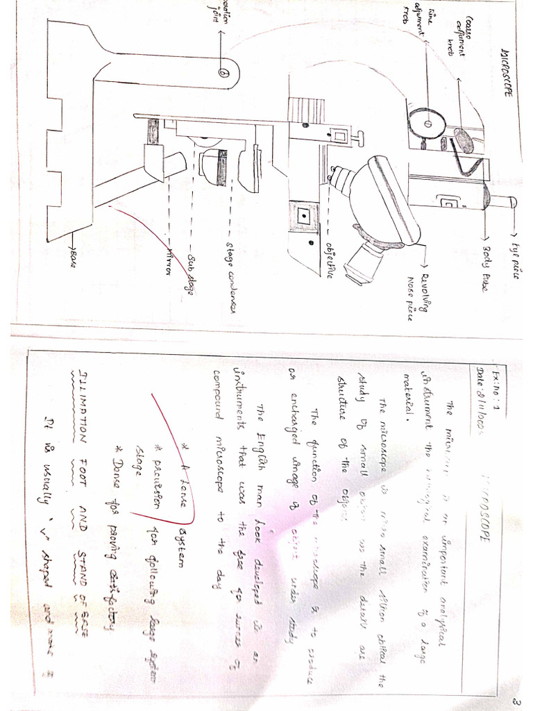 Hap | PDF