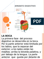 El Aparato Digestivo0 Jaja