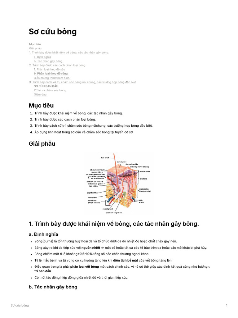 S Cu BNG | PDF