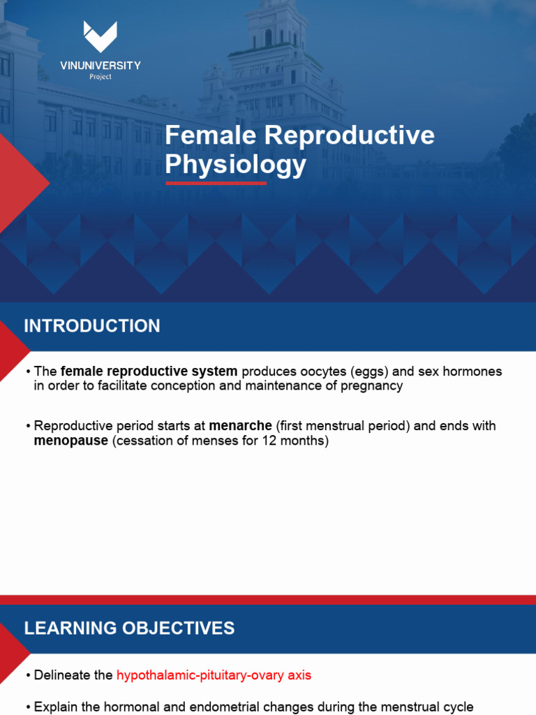 Female Reproductive Physiology Overview | PDF | Menstrual Cycle ...