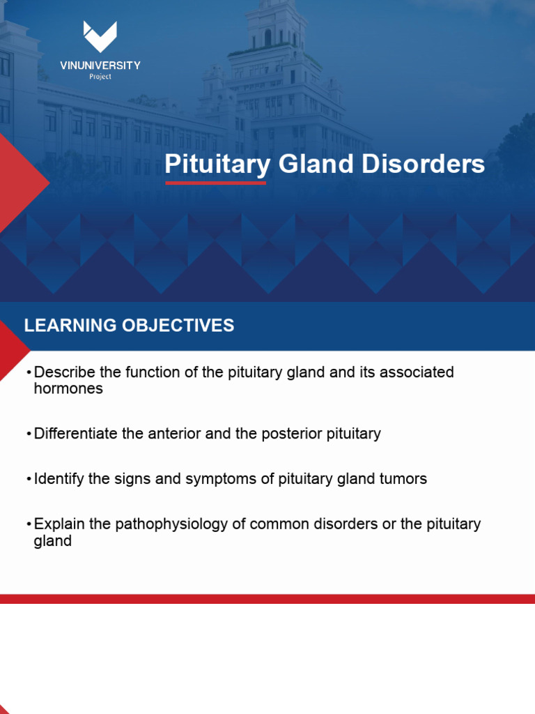 Understanding Pituitary Gland Disorders | PDF | Pituitary Gland ...