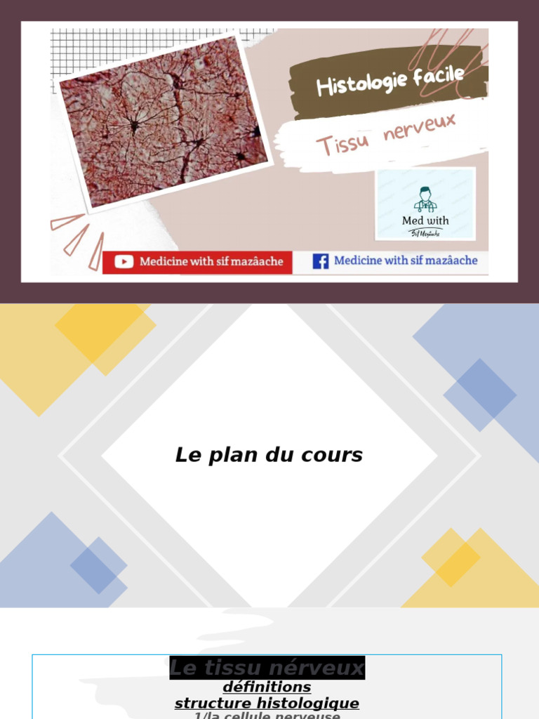 Structure et classification du tissu nerveux | PDF | Nerf | Système nerveux