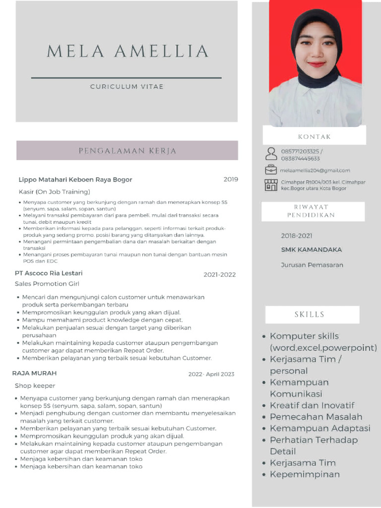 CV Mela Amellia | PDF