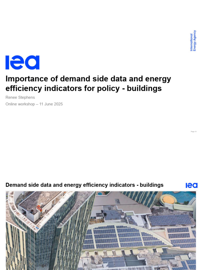 Demand Side Data for Energy Policy | PDF | International Energy Agency ...