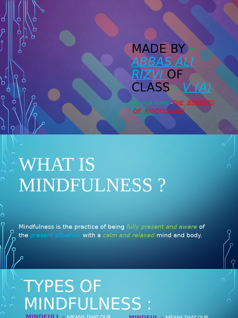 Ed Talk Presentation Made by Abbas Ali Rizvi of Class - V (A) | PDF