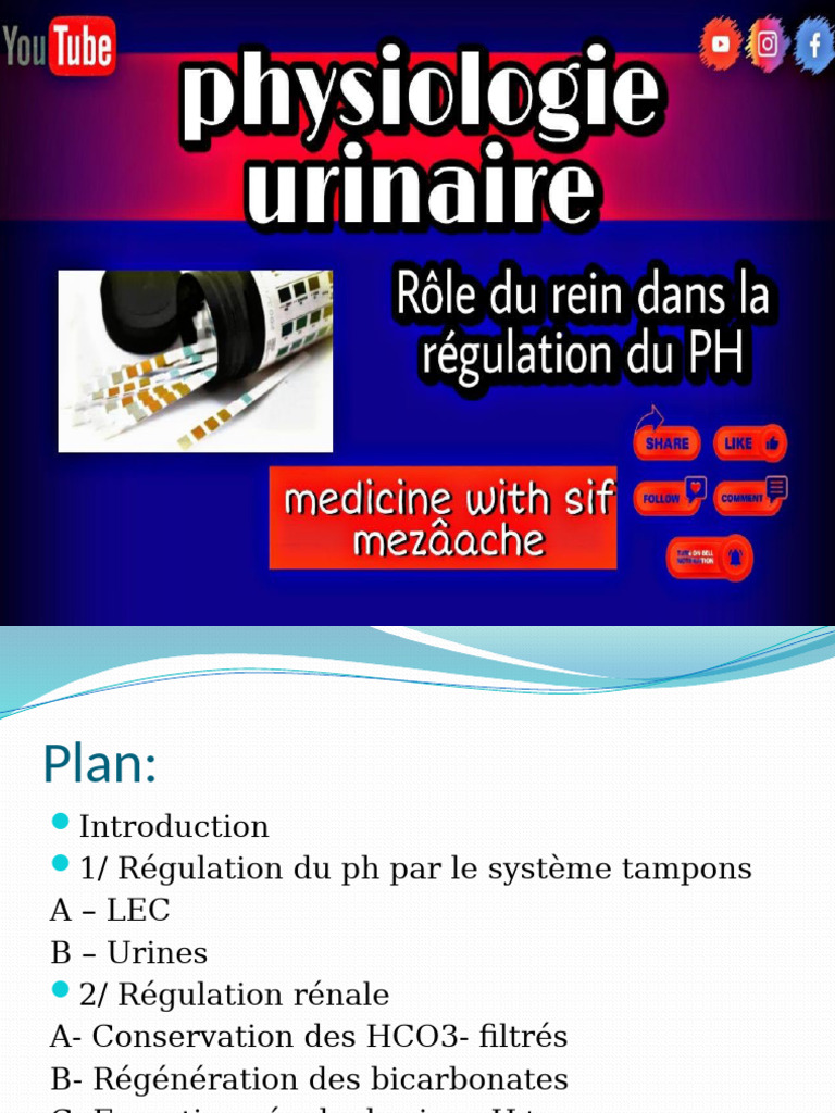 Régulation du pH par les reins et tampons | PDF | Bicarbonate | Chimie