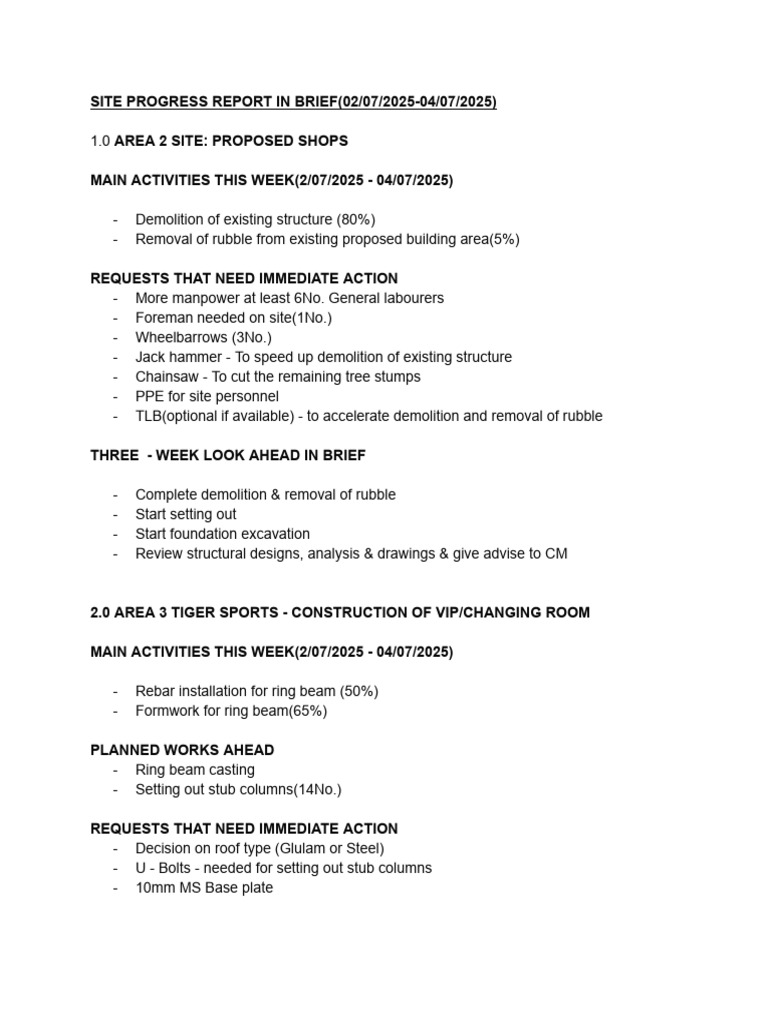 Site Progress Report: July 2025 Update | PDF