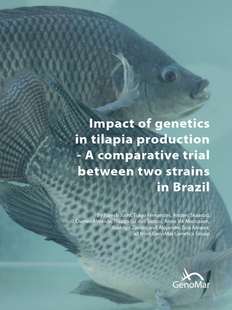 GenoMar 1000 vs Local Strain in Tilapia | PDF