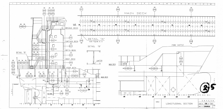 Longitudinal Section | PDF