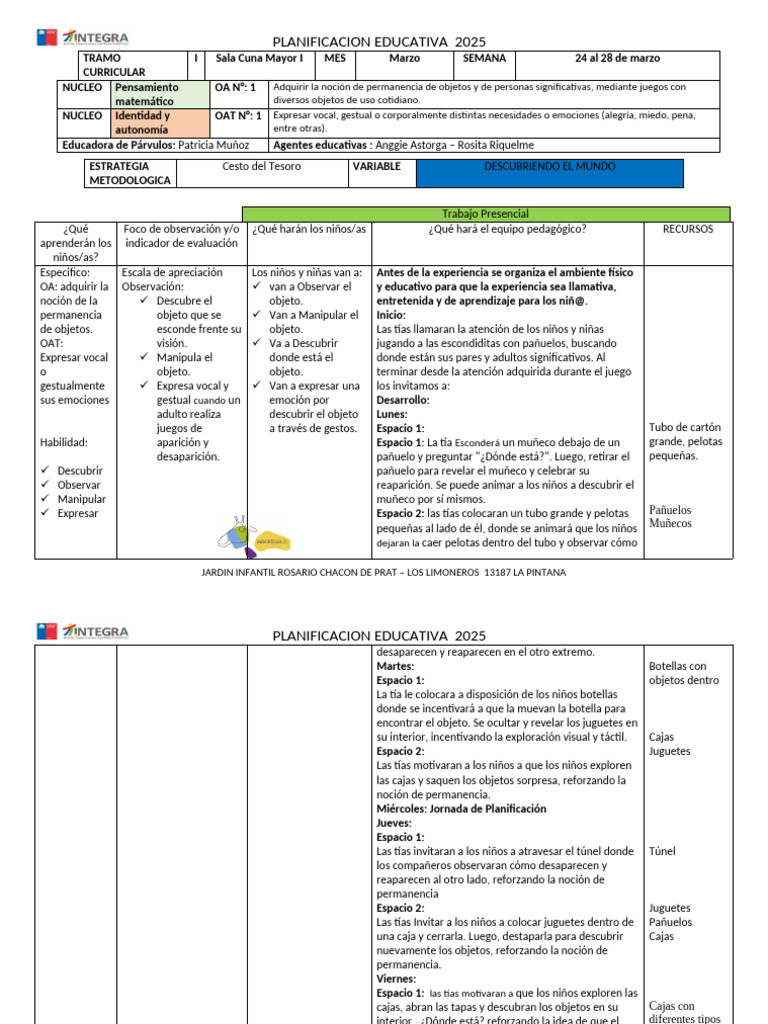Planificación Educativa Sala Cuna 2025 | PDF | Educación de la primera ...