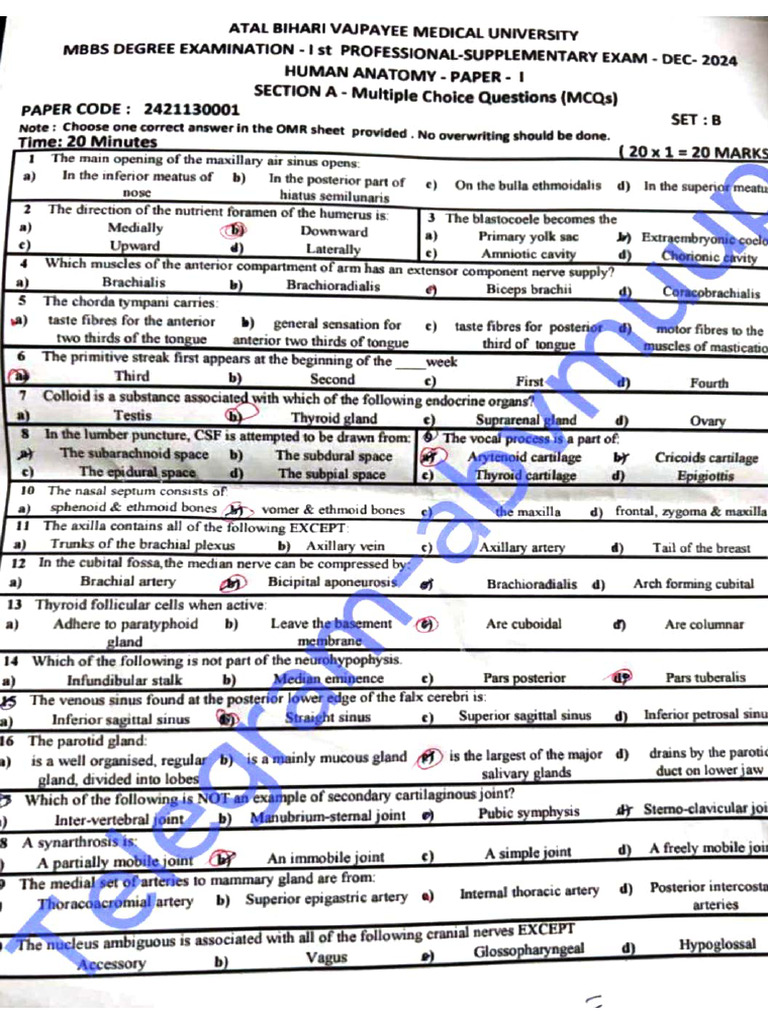 2023 Batch 1st Proff Supply | PDF