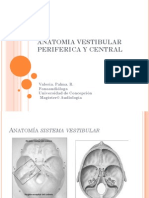 Anatomia Vestibular Periferica y Central