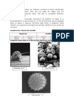 Amplificación y Resolución Del MEB: Resolución Amplificación