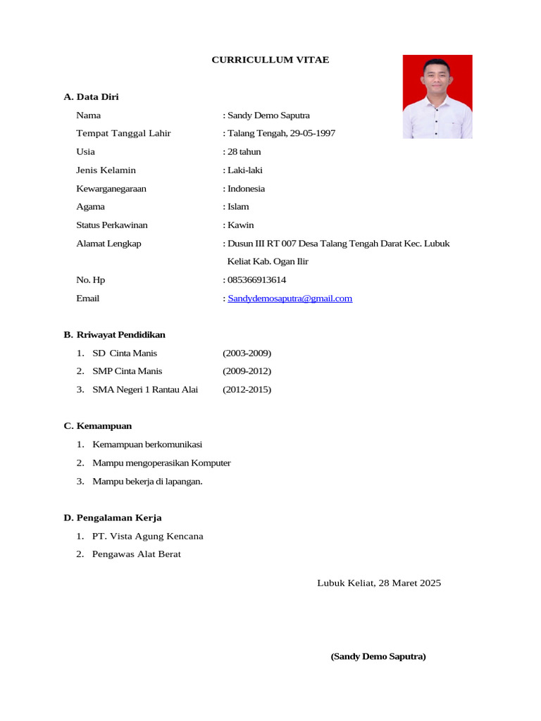 CV Sandy Demo Saputra | PDF