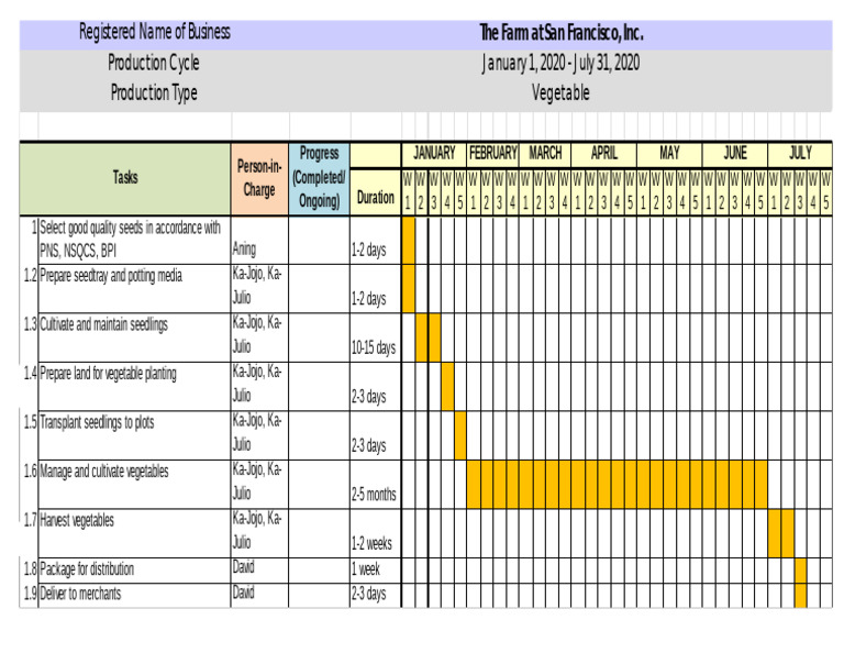 Vegetable Production Timeline | PDF