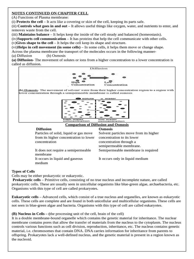 Notes On Chapter Cell, Class 9 B, 2025-26 | PDF | Cell (Biology ...