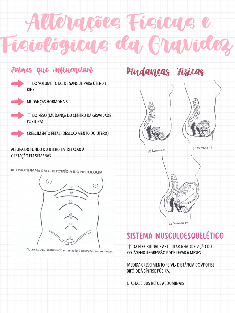 Alterações Físicas e Fisiológicas Da Gravidez | PDF | Gravidez | Coração