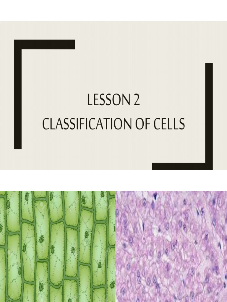 Lesson 2 Classification of Cell (Gen Bio) | PDF