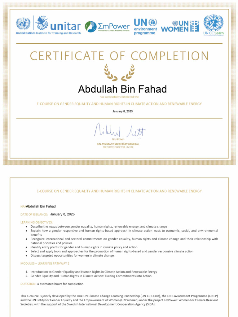 Certificate of Completion - Learning Pathway 2 | PDF