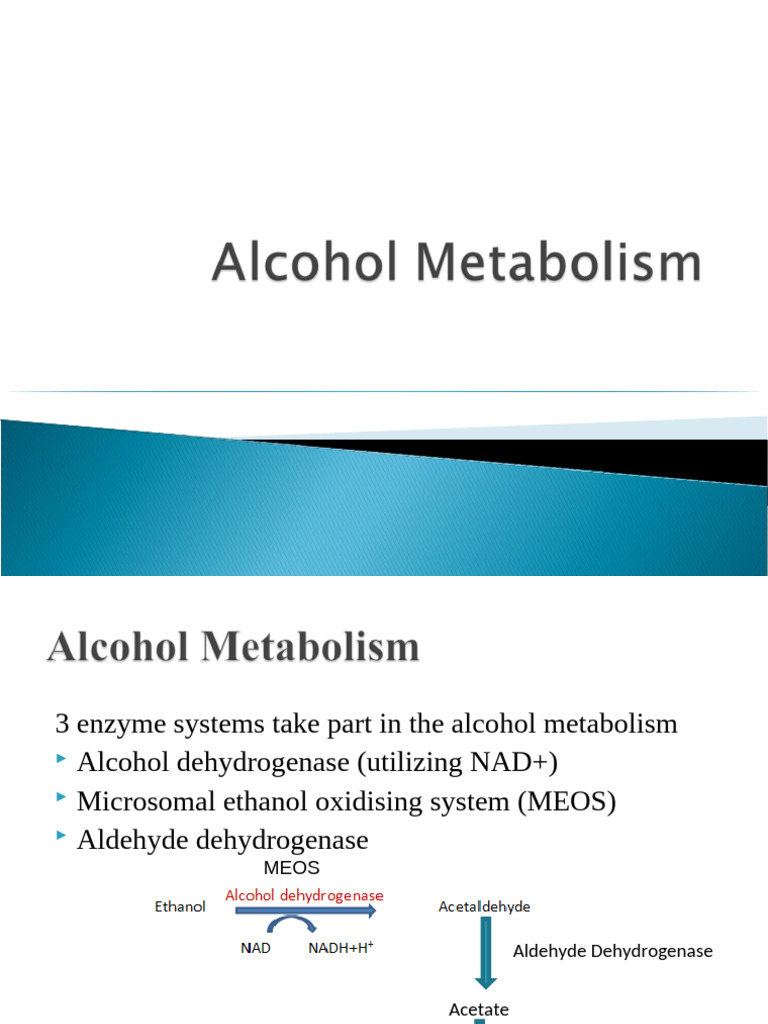 MEOS Role in Alcohol Metabolism | PDF | Nicotinamide Adenine ...
