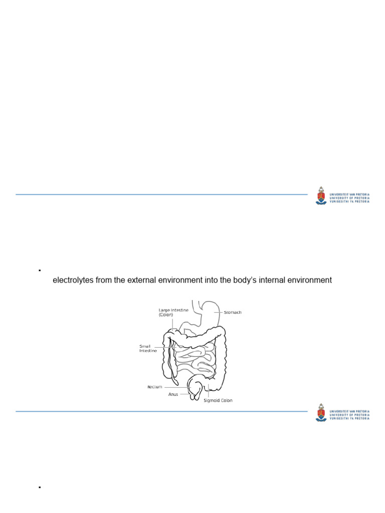 Nutrition and Digestion Lecture 2 | PDF | Stomach | Gastrointestinal Tract