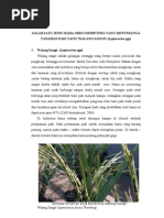 Download Walang Sangit baru by Theo Vinessa SN89559867 doc pdf