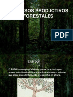 Proceso Forestal