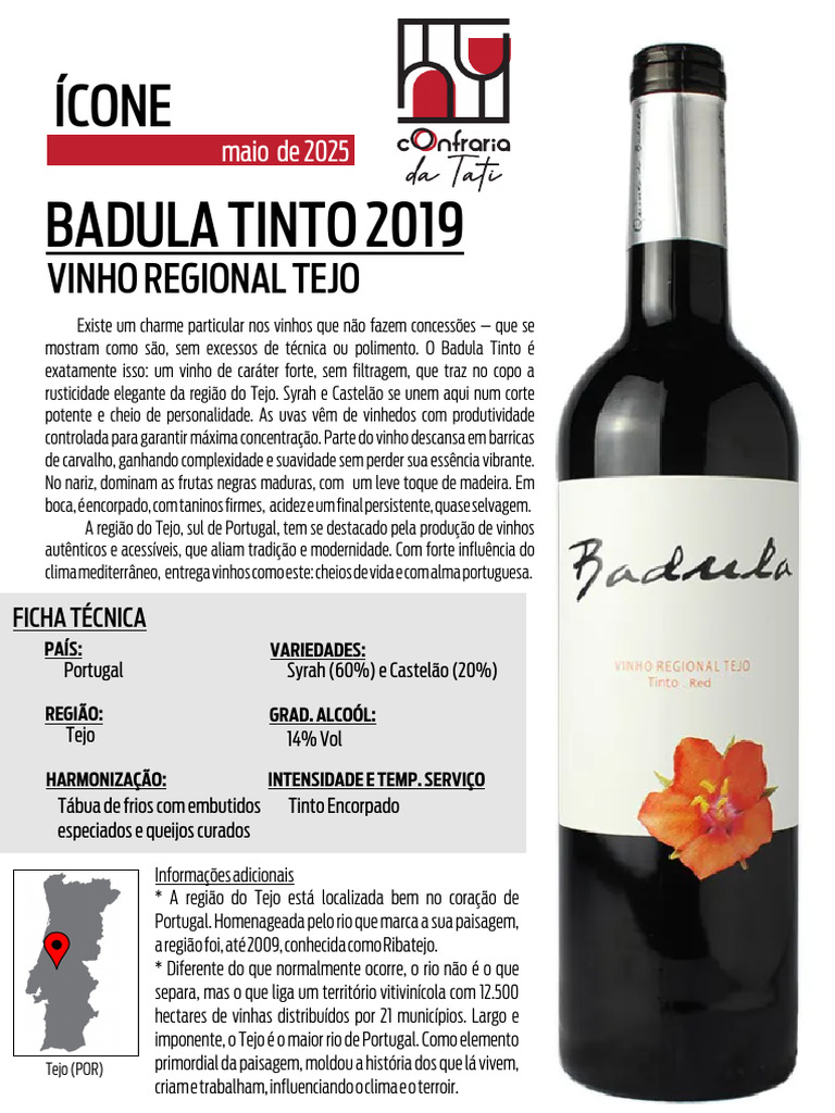 44 ÍCONE Badula | PDF