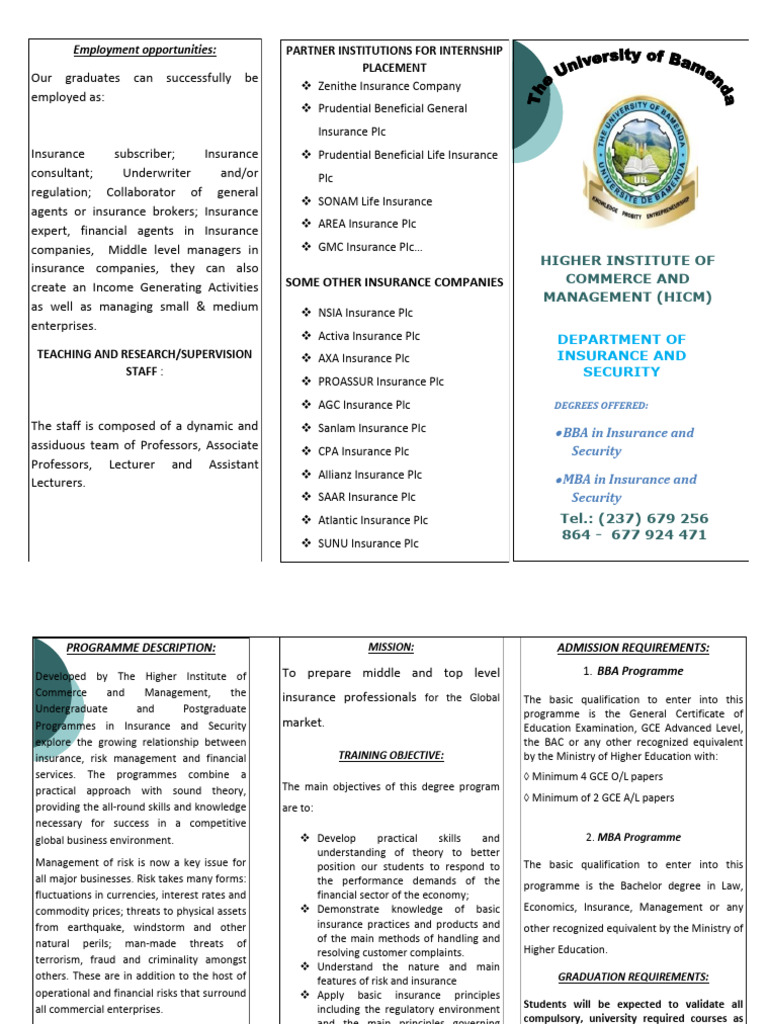 Insurance and Security Flyer | PDF | Risk | Insurance