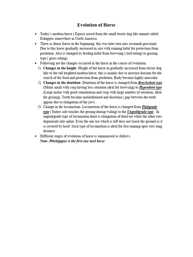 Evolution of Horse | PDF