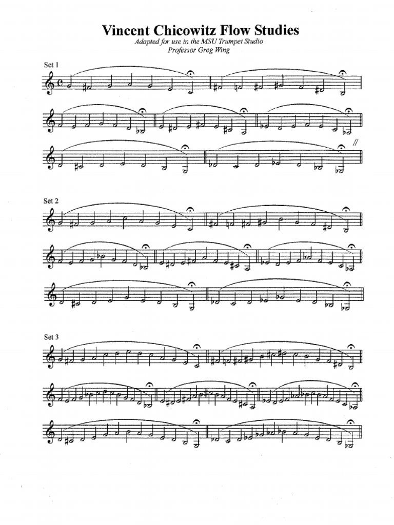 Chicowitz Flow Studies | PDF