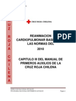 Capitulo III Rcp 2010 Manual Ppaa Crch1