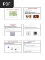 C.diphteriae N.meningitidis