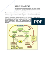 Ciclo Del Azufre