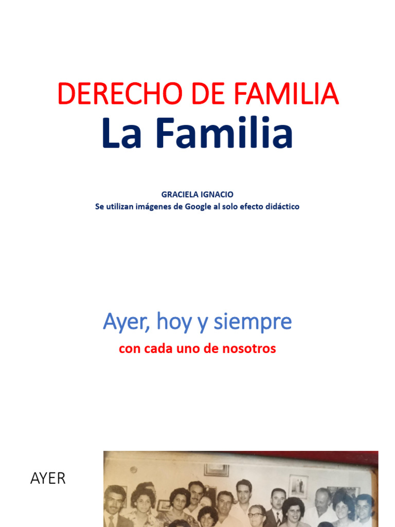 Derecho a la Familia y su Evolución | PDF | Familia | Parentesco