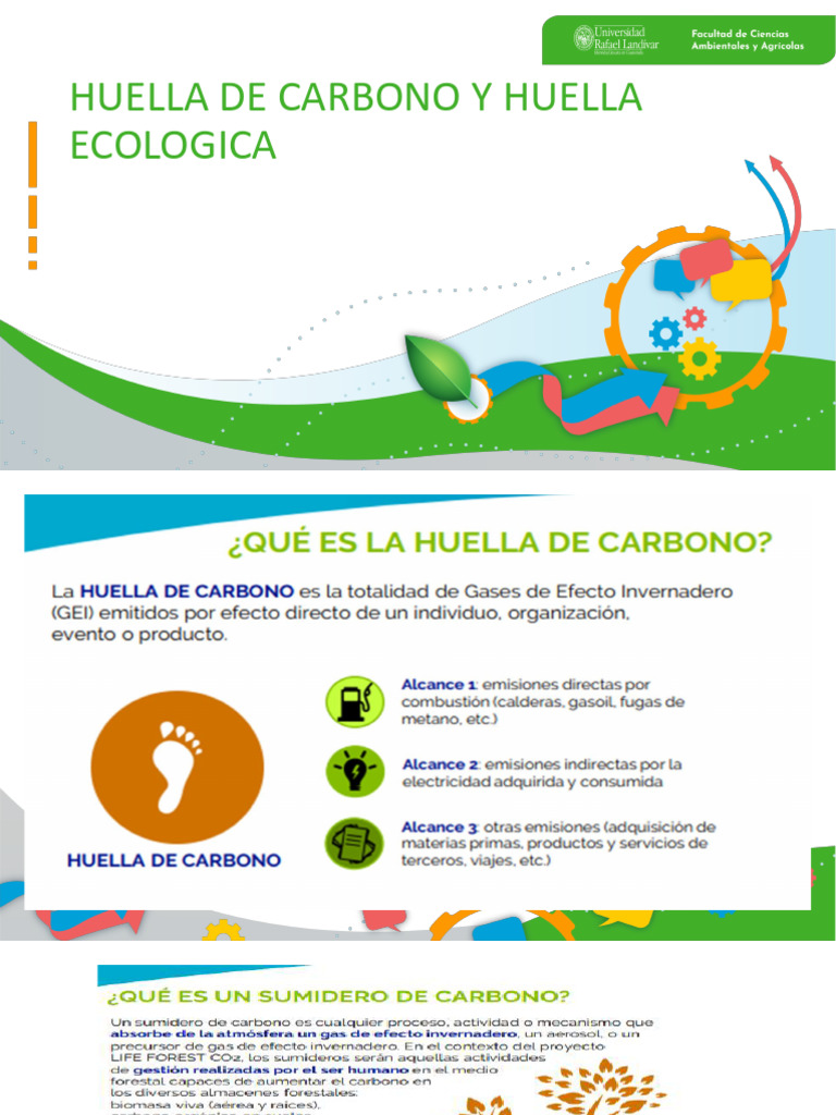 Huella Ecologica y de Carbono | PDF