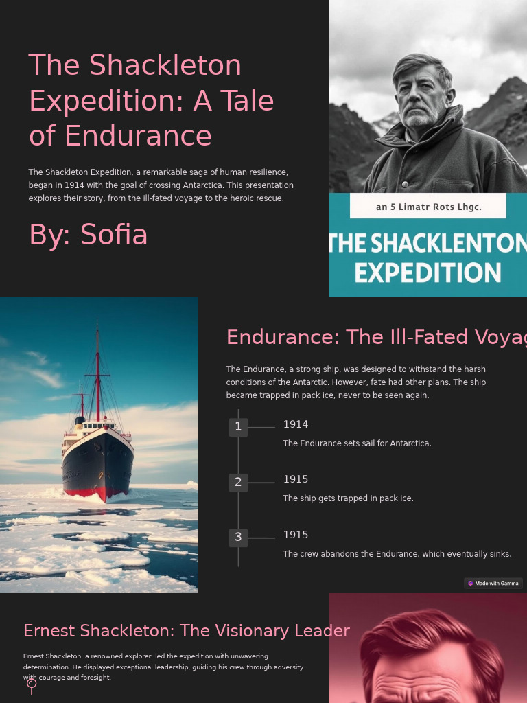 Shackleton Expedition: A Story of Resilience | PDF | Ernest Shackleton ...