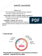 Plasmid Essentials: Origin of Replication (Ori)